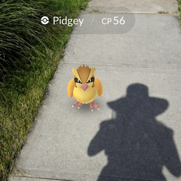 π¦π¦π¦ * Meet Your Posh Seller * π¦π¦π¦ - Picture 11 of 11